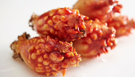 海の不思議な生き物「ホヤ」とは？その生態と成長の秘密