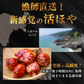 【冷凍】お刺身ホヤ